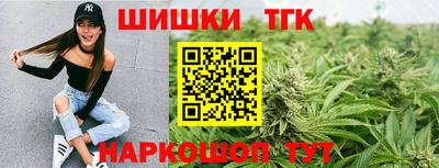 шишки Новокубанск