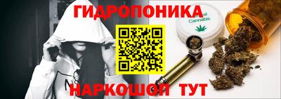 PSILOCYBIN Нальчик