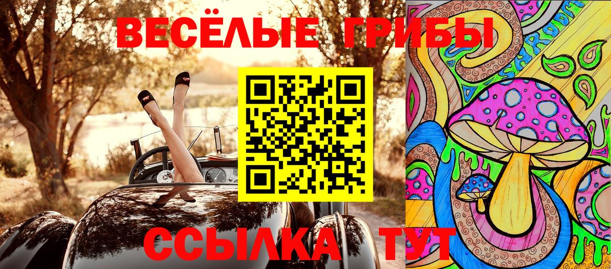 Смоленск  Псилоцибиновые грибы мицелий  Вход с VPN 